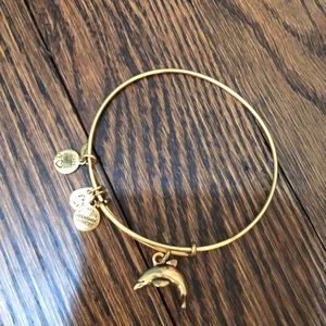 alex and ani gold bracelet w dolphin charm
